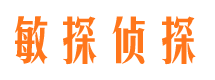 龙凤市婚外情调查